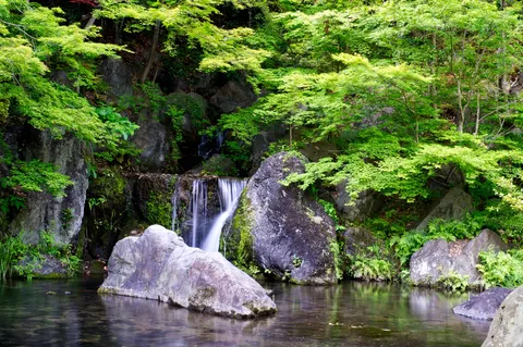 新緑の滝、岩と水の静寂