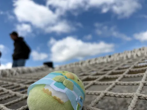 空と網の間の癒し