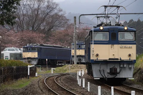 春の訪れ、桜と電車の共演