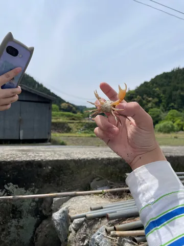 掌の住人、レンズの向こう