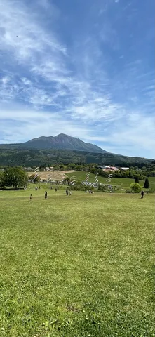 広がる青と草原の風景