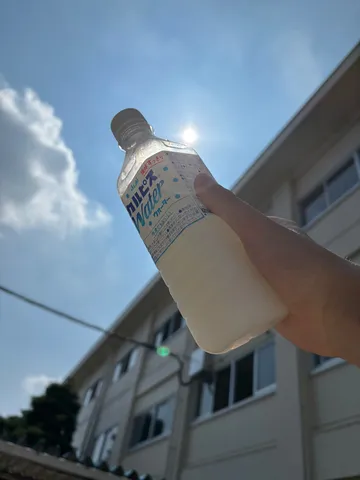 太陽とカルピスウォーター