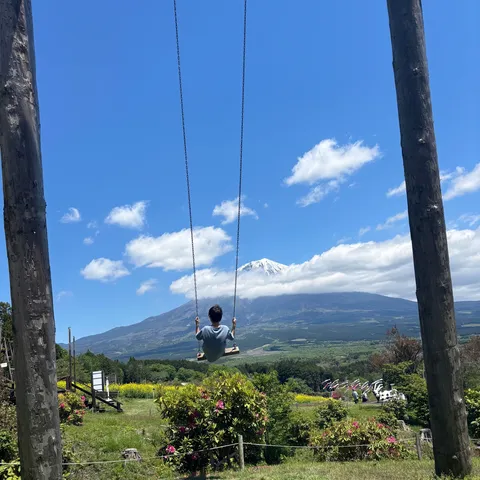 雲海と大空、そしてスイング