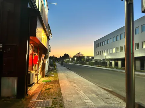 宵闇に浮かぶ街路