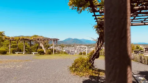 風景と陰影の休日感