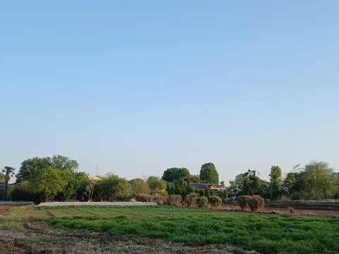 多摩の原風景