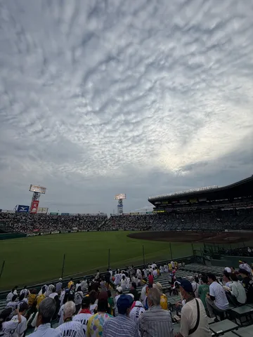 夏空の下、甲子園に響く白球の音