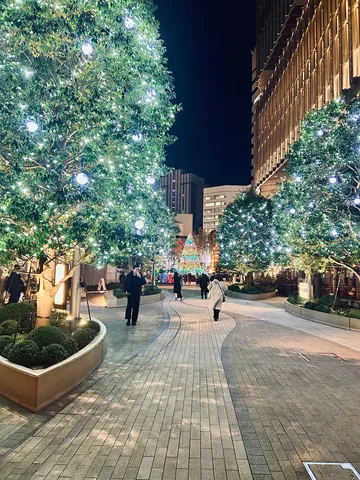 煌めく夜の並木、誘う光の路