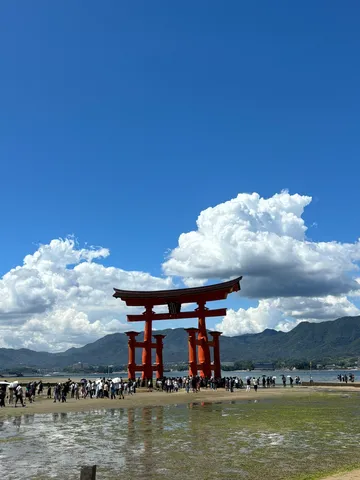 海に浮かぶ朱色の鳥居と青い空