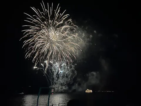 夜空に咲く光の大輪