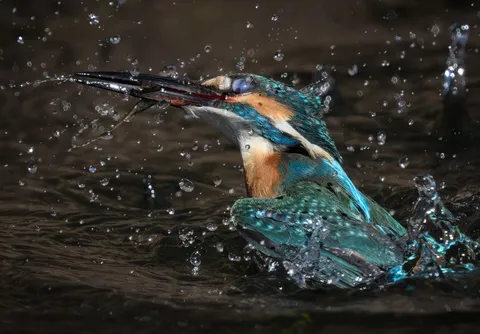 水しぶきと瞬間の王