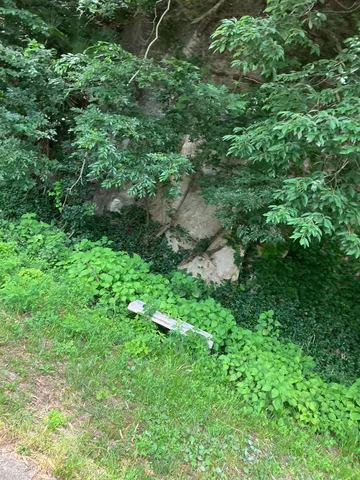 自然に還る？静かな草むらの小道