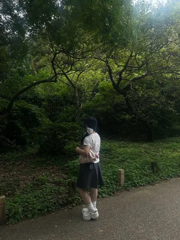 緑陰の道に映る静かな物語