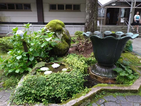 苔と紫陽花の静かな庭
