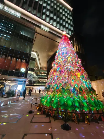 夜空に映るカラフル樹