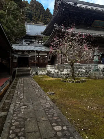 春を告げる梅と古刹の静寂