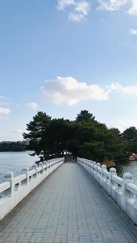 水辺を繋ぐ白い道