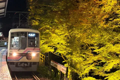 夜の彩り、電車と紅葉の出会い