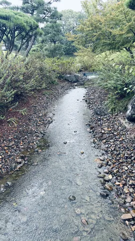 雨が降る緑の小川