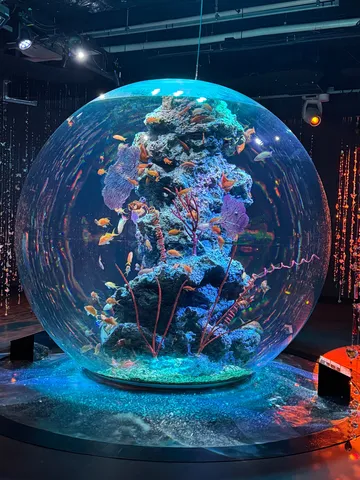 光り輝く水の惑星