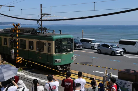 青と緑が織りなす情景