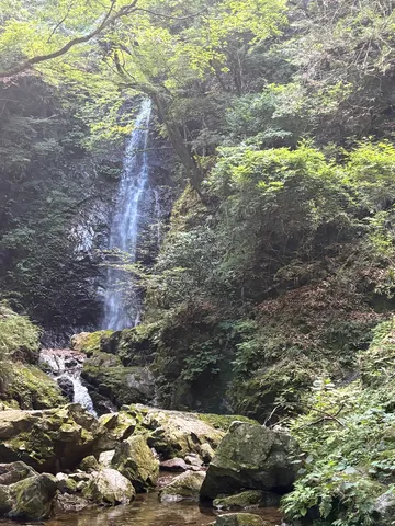 木漏れ日と滝の静寂