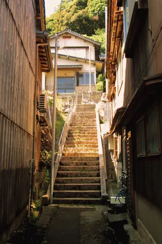 緑に包まれた石段の道