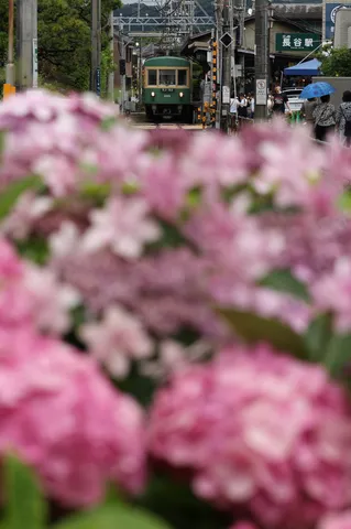 雨上がりの鉄道風景