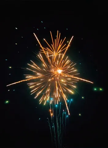 夜空を彩る光の芸術