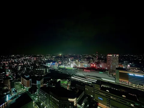 眠らない街、光の絨毯
