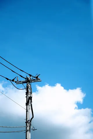 見上げる青と電柱