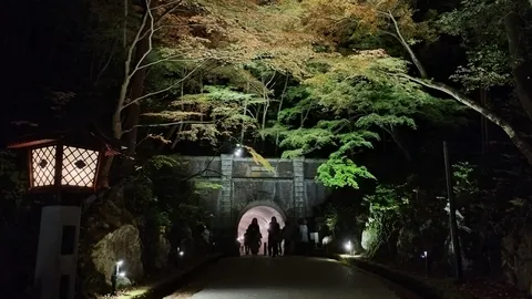 夜のトンネルへ誘う光
