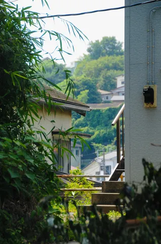竹林に隠された階段