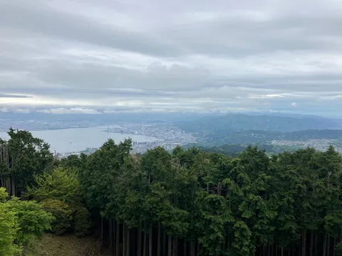 木々と広がる街並みの遠望