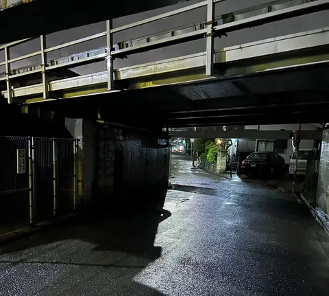 雨上がりの秘密基地