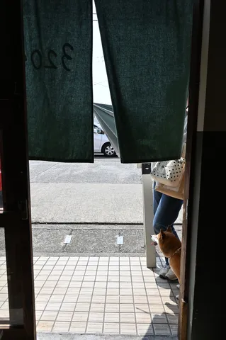 覗き見、夏の日差しの向こう