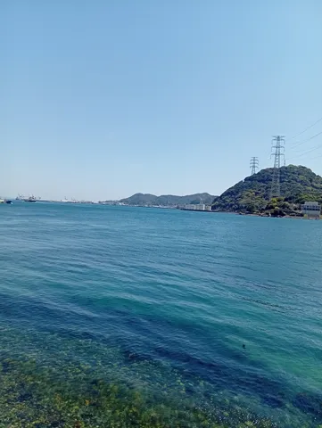 青い海と緑の山並み、力強い送電鉄塔
