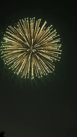 夜空に咲く光の花
