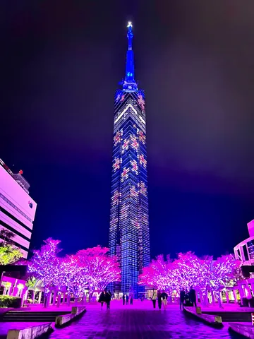 夜景の主役はどっち？ブルーとピンクの共演
