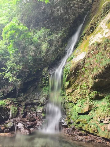 緑と滝の静かな瞬間