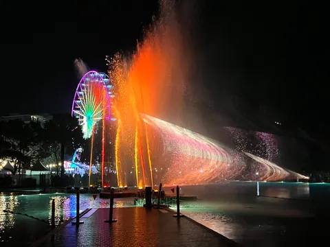 夜空を彩る光と水のショー