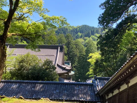 緑深き古刹の静寂