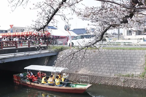 桜舞う川旅、水面を渡る風情