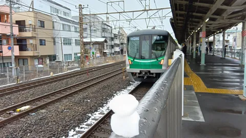死にかけだるま