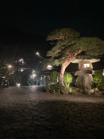 静寂の夜、灯る石灯籠と松の木