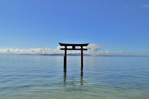水面に佇む神秘の鳥居
