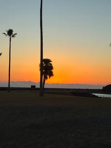 夕景の椰子と静かな水辺の瞬間