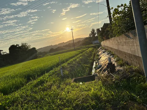 夕暮れの田園、光と影のコントラスト