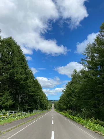この道、どこまで行くの？