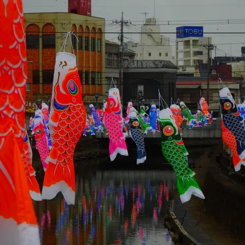 水面に映る鯉のぼりたち